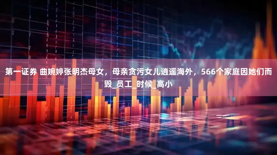 第一证券 曲婉婷张明杰母女，母亲贪污女儿逍遥海外，566个家庭因她们而毁_员工_时候_高小