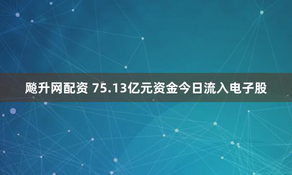 飚升网配资 75.13亿元资金今日流入电子股